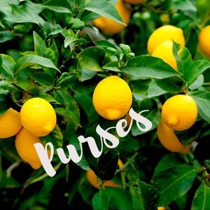🍋